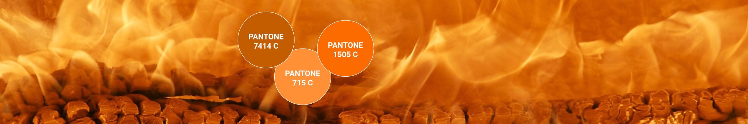 Orange: Vitalität, Freundlichkeit, Frische & Selbstvertrauen