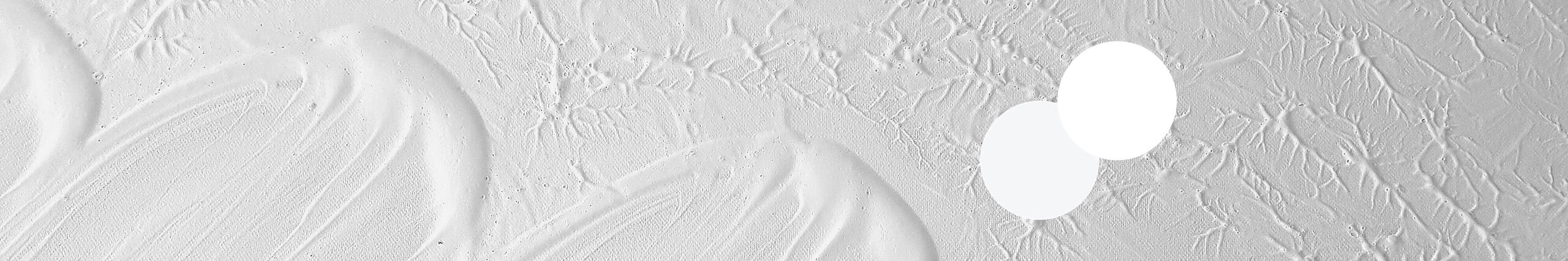 Weiß: Reinheit, Natürlichkeit, Minimalismus & Perfektion