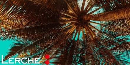 Nachhaltige Werbeartikel für den Sommer: 8 coole Ideen!