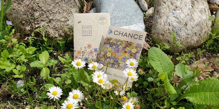 Nachhaltigkeit im Alltag: Experten-Tipps für einen umweltbewussten Lebensstil