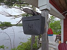 Filzshopper in Kanada Nova Scotia