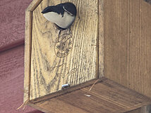 Vogelhäuschen mit Logo in Kanada