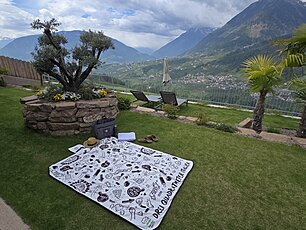 XXL Werbefläche auf Picknickdecke