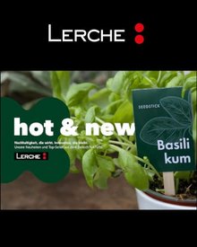 Nachhaltige Werbemittel und Kampagnen 2025