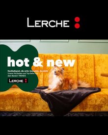 Werbemittel und Kampagnen im Trend 2025