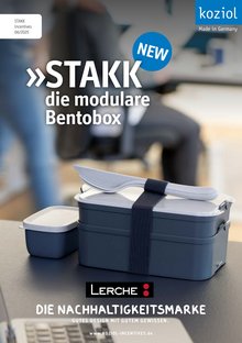 Die modulare Bentobox 