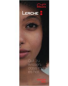 Hochwertige Einkaufswagenlöser und Werkzeug-Werbeartikel von Richartz 2024