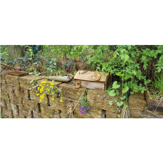 Nistmöglichkeiten für die Umwelt bei Lerche: 