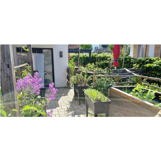 Pflanzen und Tierwelt am grünen Standort in Königsdorf 