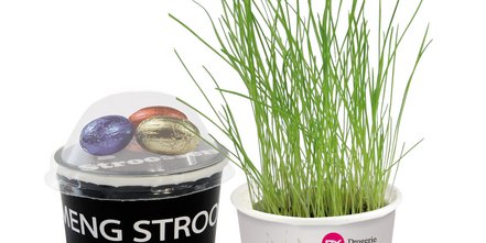 Bedruckter Pflanzodrom: Das grüne Oster-Werbemittel mit leckeren Schoko-Eiern