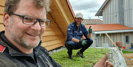 Die erste Dachbegrünung ist fertig! 
