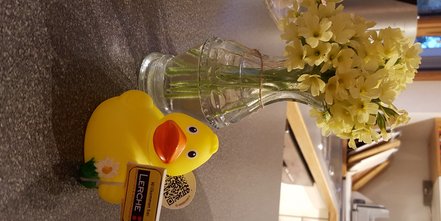 Individuell gestaltete Quietscheenten als Werbegeschenk