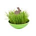 Schaukelschale mit Grassamen und Osterhasen-Steckfigur