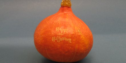 Kürbis mit Lasergravur für den Herbst oder Halloween