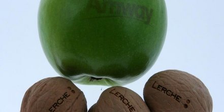 Logogravur auf Obst, Äpfel, Walnüsse, Orangen Lasergravur neue Technik hauchdünn