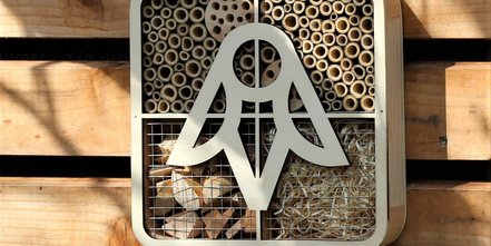Nachhaltiges Insektenhotel zum Artenschutz