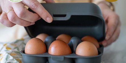 EGGS TO GO MINI Eierbox in verschiedenen Farben erhältlich