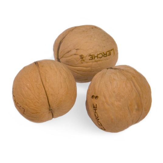 Walnuss mit Lasergravur als Streuartikel zu Weihnachten