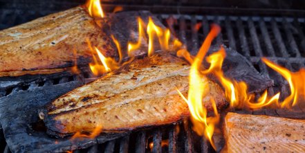 Leckeres Vergnügen: gegrillter Lachs auf dem Zedernholzbrett