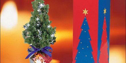 Die Zuckerhutfichte - ein ideales Weihnachtspräsent als Werbemittel