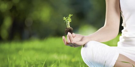 Werbemittel-Neuheit: Saatkugeln mit Bio-Saatgut