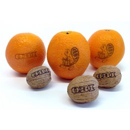 Bedrucktes Logo-Obst und Nüsse oder Werbe-Eier mit individueller Lasergravur