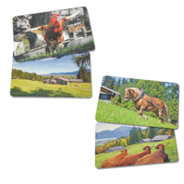 Individueller Werbe- Motivdruck auf Resopal-Brettchen