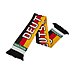 made in europe, kurze Lieferzeiten gewebter Logo- Deutschland Fan-Schal
