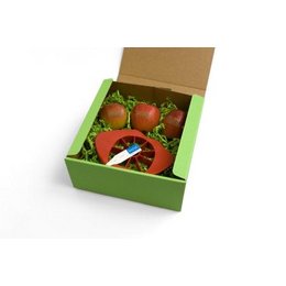 Fruchtiges Geschenk-Set originaler Apfelschneider mit gelaserten Äpfeln für Ingram GmbH, München