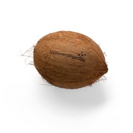 Logo-Obst, individuell gravierbare Werbe-Kokosnüsse mit individueller Logo-Lasergravur