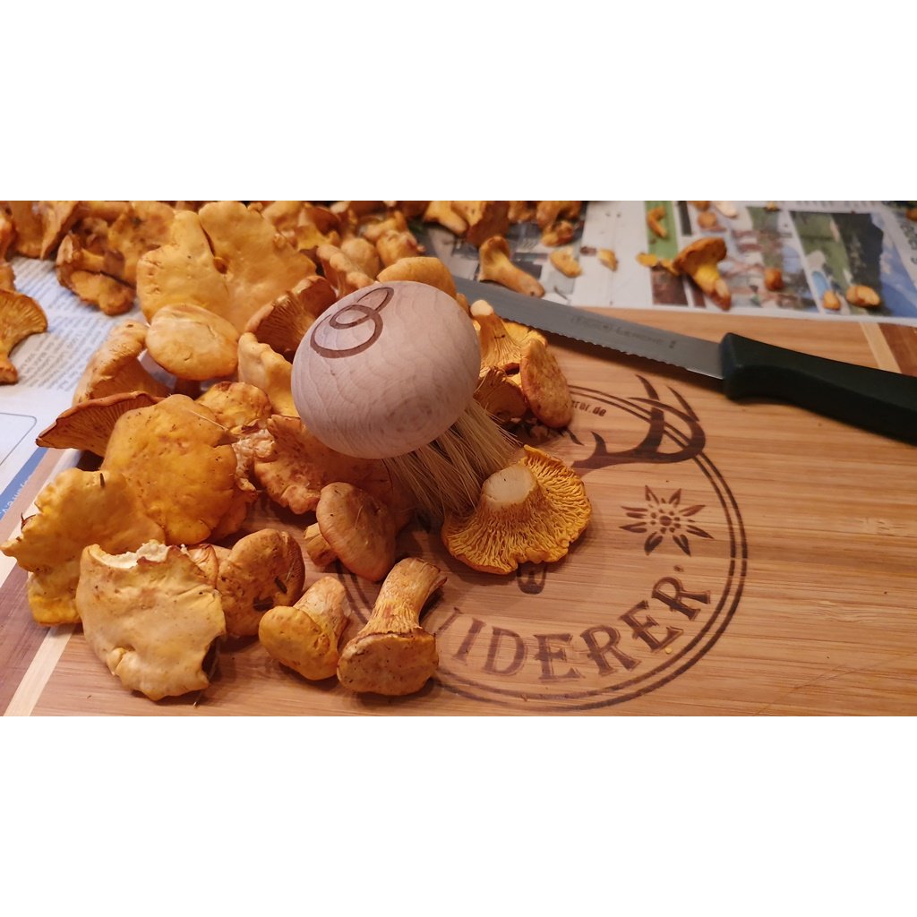 Natur-Pilzbürste aus Buchenholz mit Logo-Laasergravur