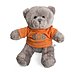 Plüschbär mit T-Shirt inklusive Werbeaufdruck