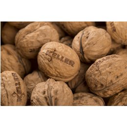 Walnüsse mit Firmenlogo per Lasergravur