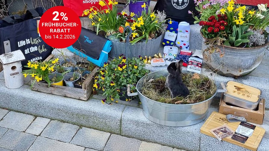 Schnell sein und Preisvorteil sichern!