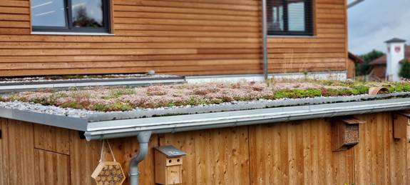 Dachbegrünung Lerche Werbemittel