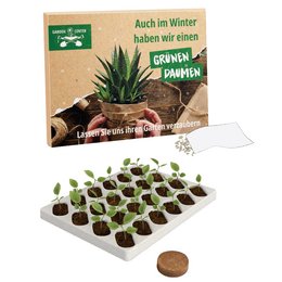 Adventskalender Winter Indoorgarten mit Samen und Substrattabletten als nachhaltiger Werbeartikel