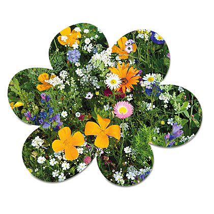 Werbe-Bienen-Samenpapier in Blumenform