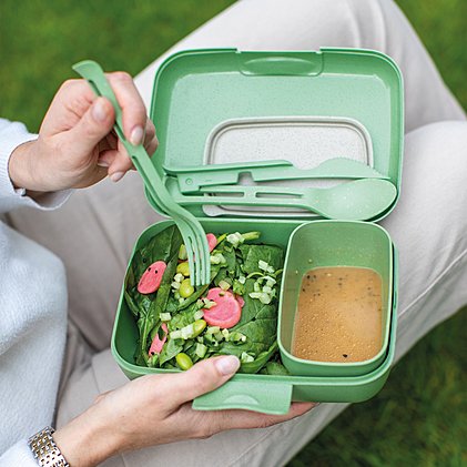 Werbe-Lunchbox-Set Candy Ready mit Salat und Dressing