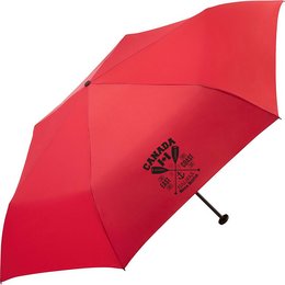 Stabiler Taschenschirm mit Windproof-System und Lichtschutzfaktor, perfekt für windige Tage